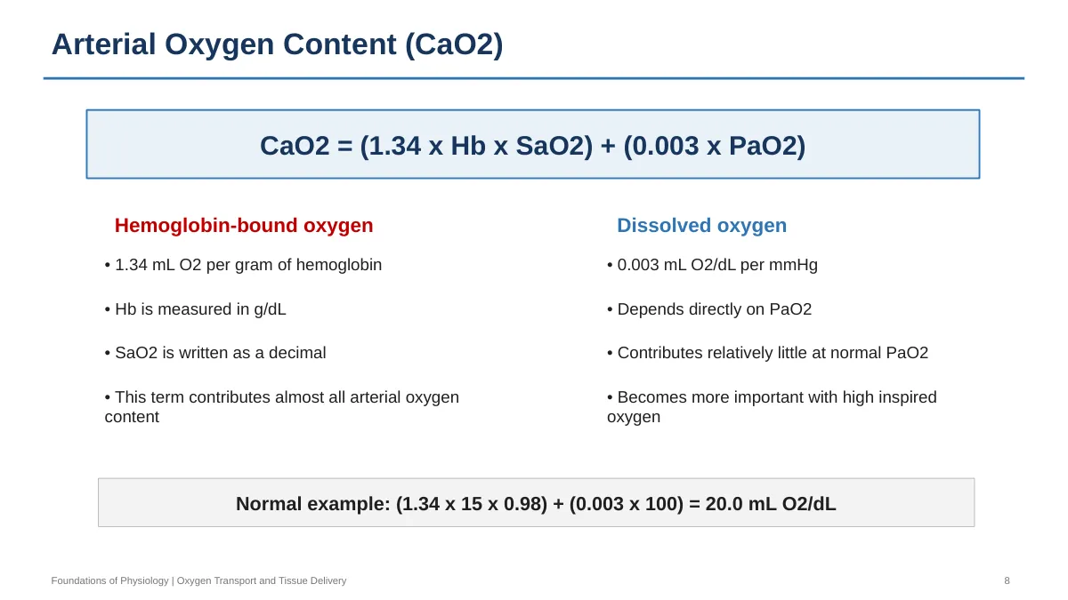 Lecture slide 8