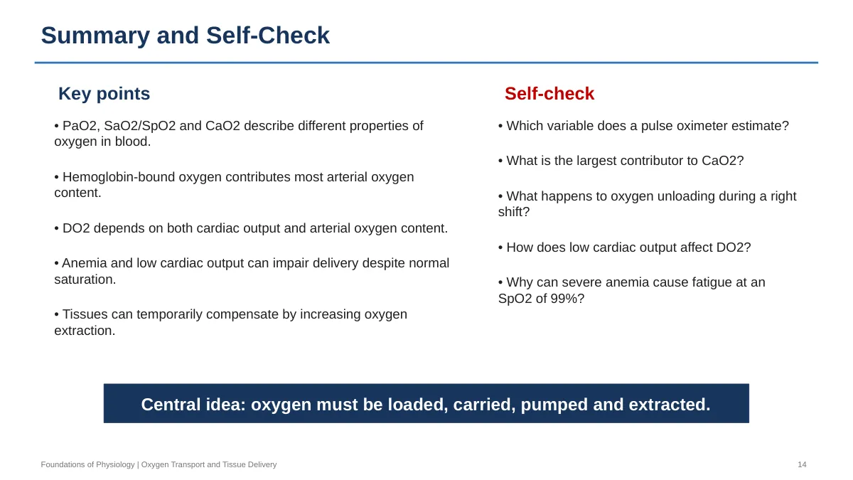 Lecture slide 14